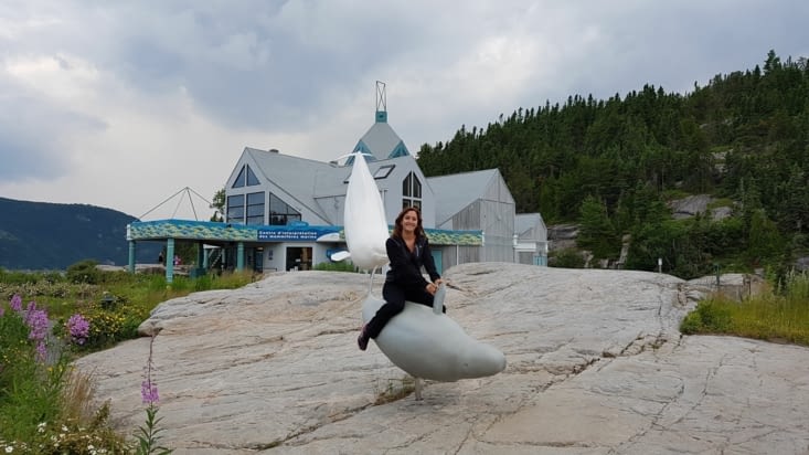 Le Centre d'Interprétation des Mammifères Marins