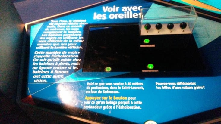 Voir avec les oreilles... tout un programme !