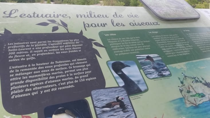 Un site d'observation des oiseaux