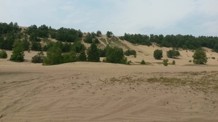 Les premières dunes de sable