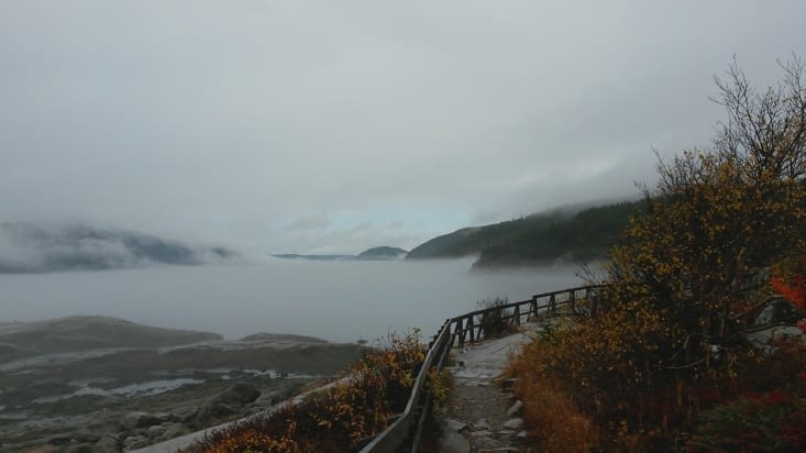 Le Fjord aussi se déguise pour Halloween