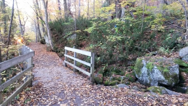 Présences dans les sous-bois