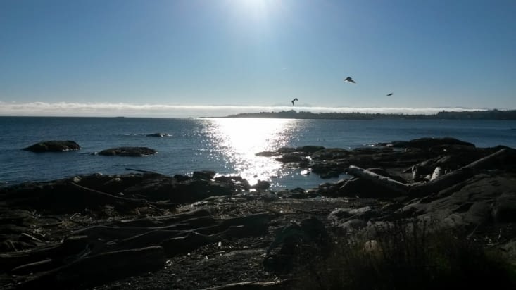 Un petit coin de paradis