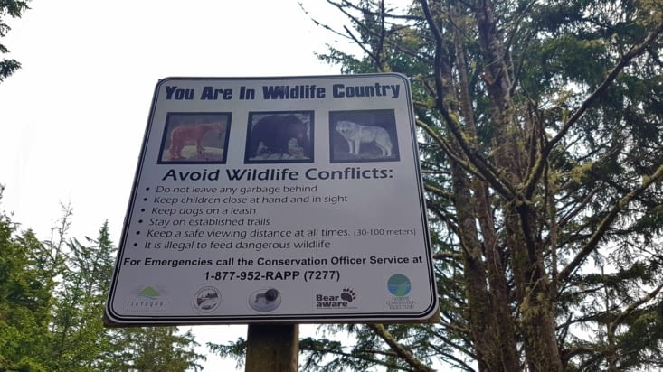 Encore et toujours !