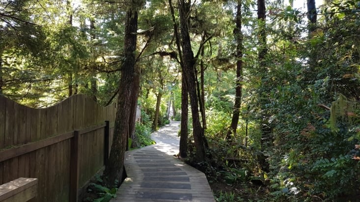 Le petit sentier qui mène à la plage