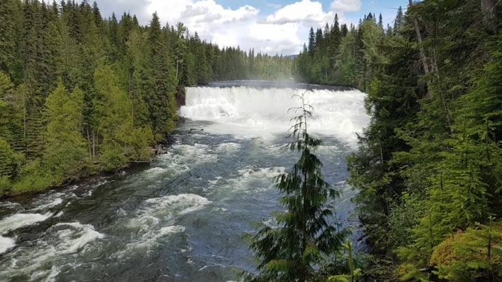 Dawson Falls : les petites chutes du Niagara