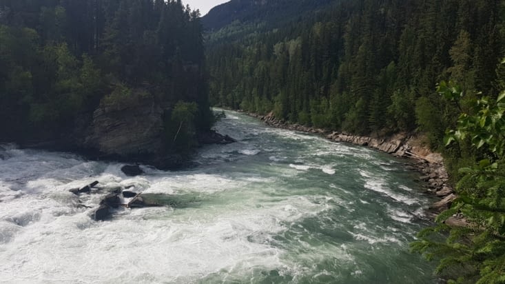 Une rivière et des sapins... on ne serait pas au Canada des fois ?