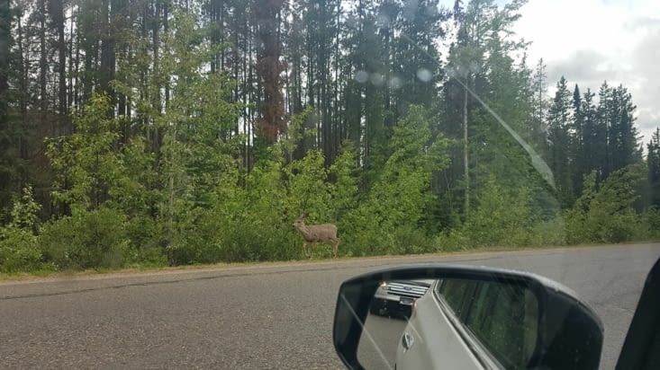 Sur le chemin du retour