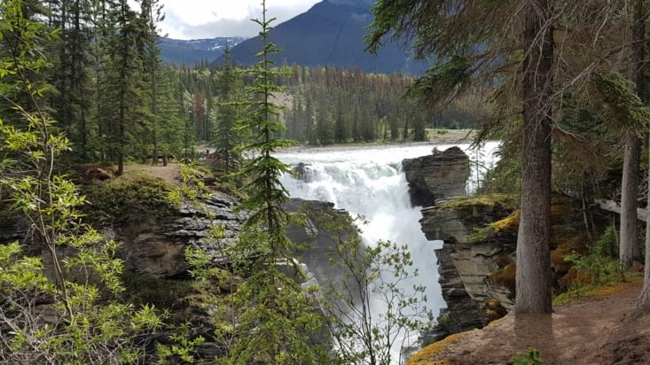 Vue sur les chutes Athabasca