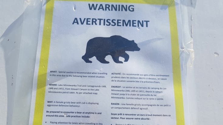 Quoi ? des ours ? ici ???