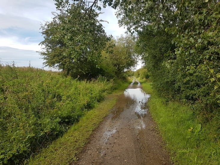 Après ça, j'entends Pierre-Antoine: "Ton vélo est dégueulasse".