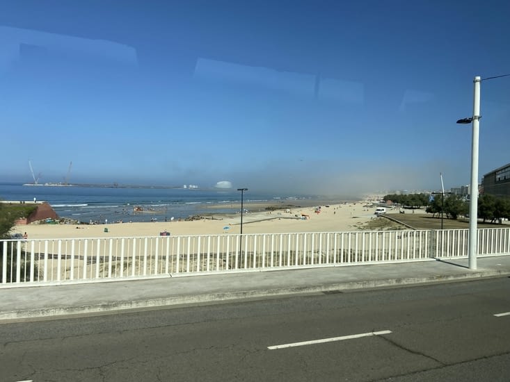 Front de mer avec brume dite « le souffle du dragon 🐉 «