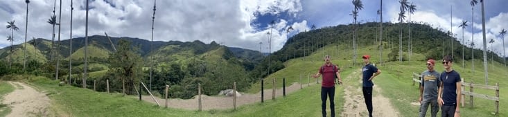 Cocora