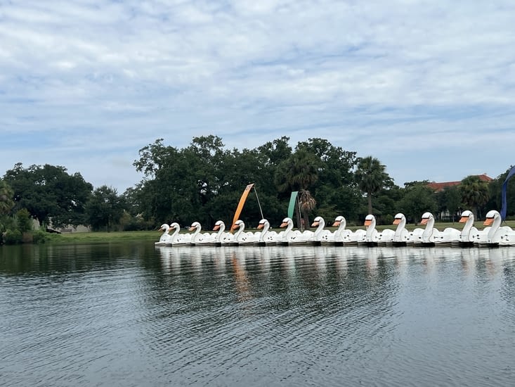 City park - les pedalos