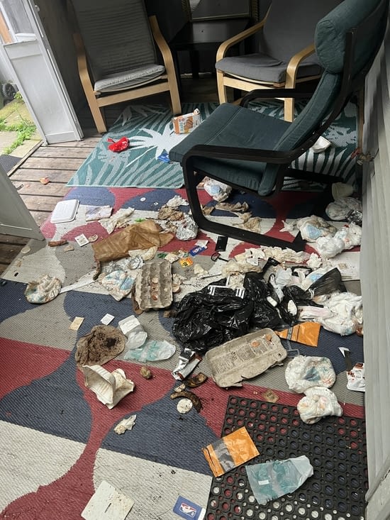 MERCI Lisa d'avoir laissé aux ratons laveurs l'opportunité de faire toutes nos poubelles !