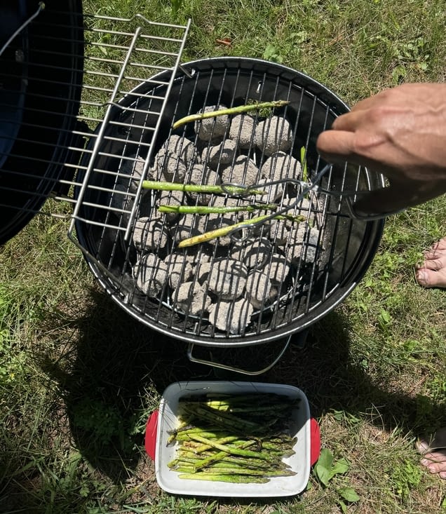 Petites asperges au barbuc !