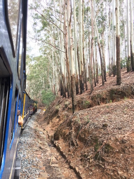 Le petit train des Nilgiris Mountains