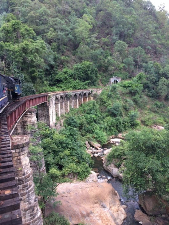 Le petit train des Nilgiris Mountains