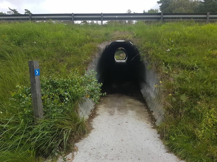 Oh c'est un tunnel pour les vélos !