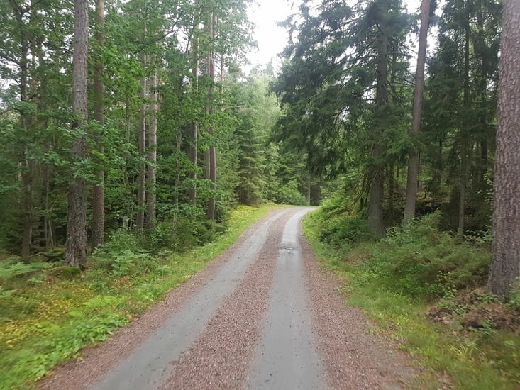 Cette image permet de suggérer une balade pitoresque, n'est-ce pas ?