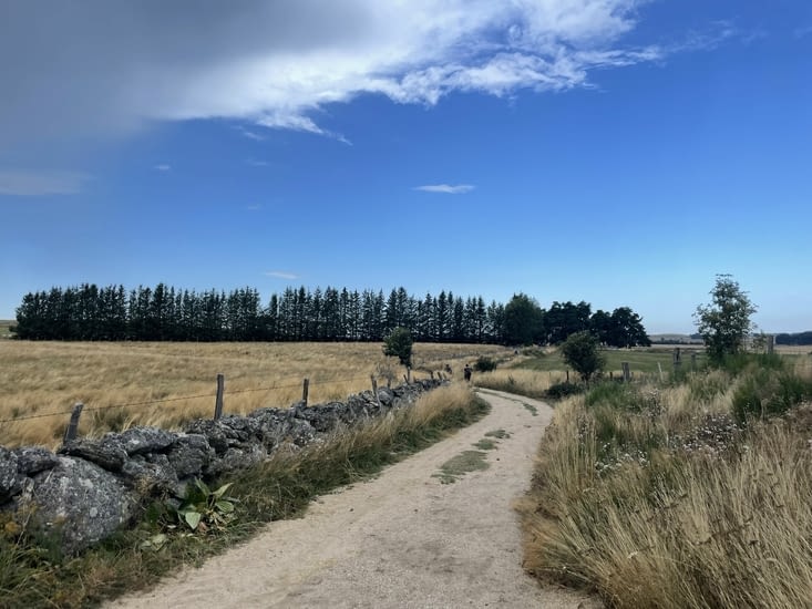 L’Aubrac se délivre …
