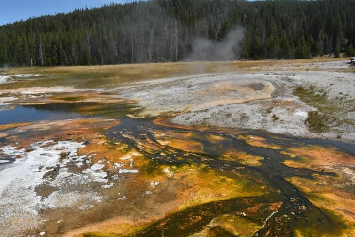 Festival de couleurs