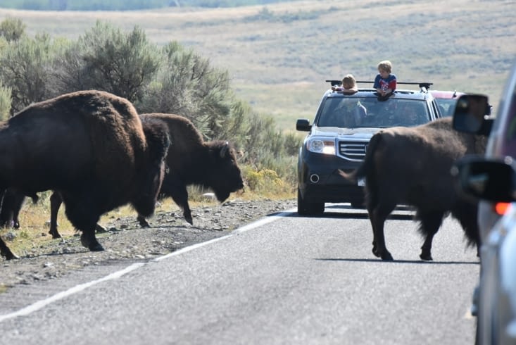 Encore des embouteillages !