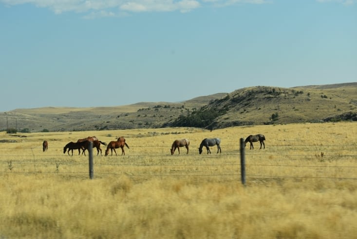 Retour dans les plaines