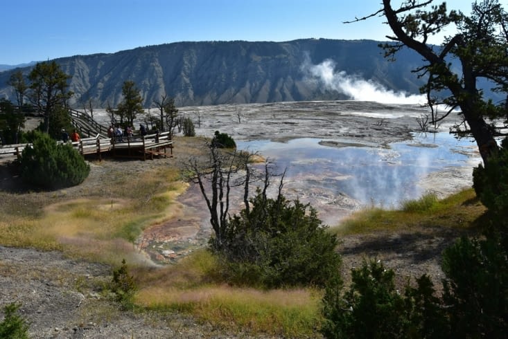 Mammoth Hotsprings