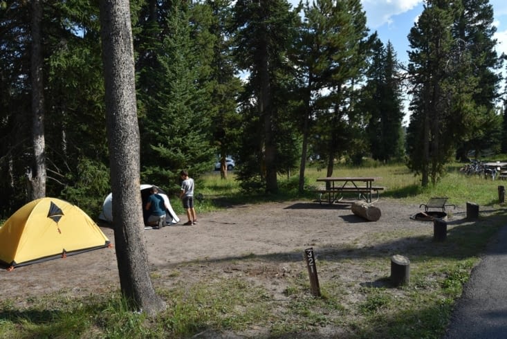 Bridge Bay Campground