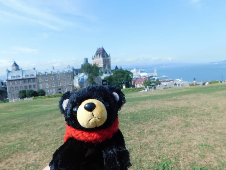 Pt'tit Grizzly voulait participer