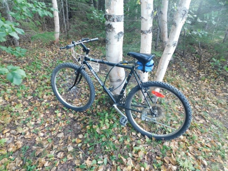 Mon compagnon de voyage