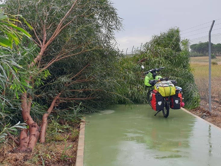 1ère surprise de la journée