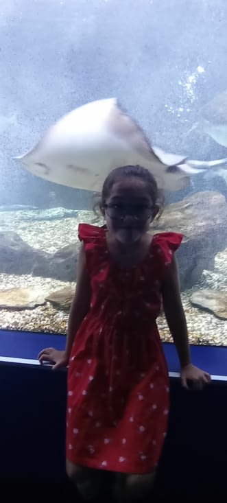 Visite de l'aquarium