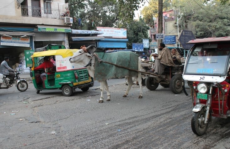 Un embouteillage à l'indienne