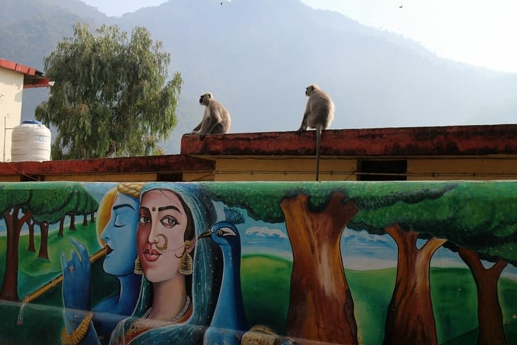 mur peint avec singes
