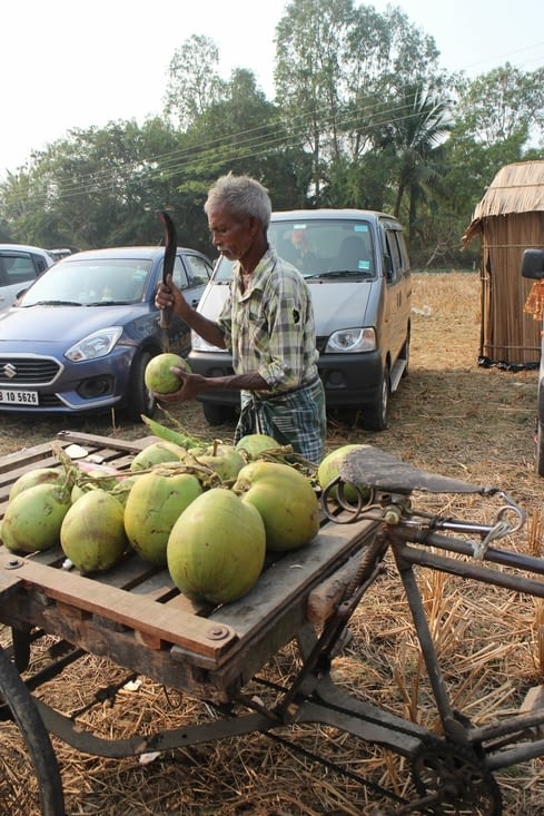 un vendeur de noix de coco