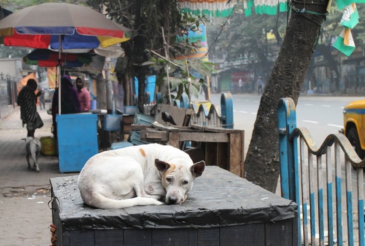 lui ne s'active pas !