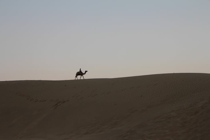 et un chameau dont la silhouette se détache au sommet de la dune