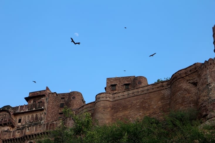 les remparts survolés par des aigles