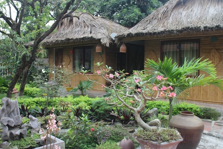 les bungalows de la guesthouse Palm House