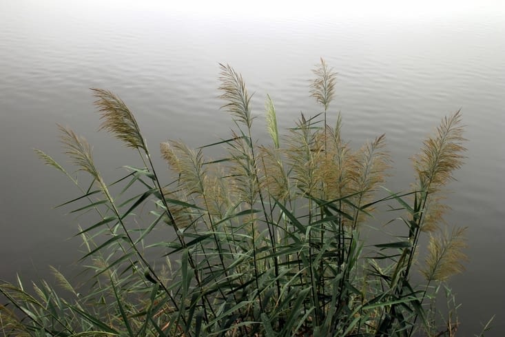 sur la promenade autour du lac
