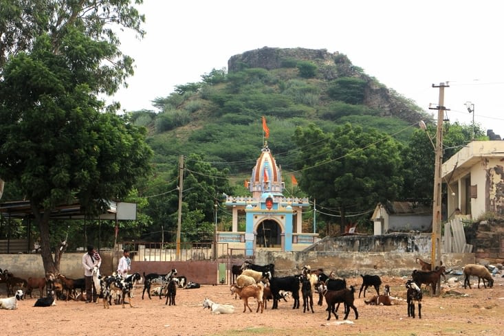D'autres troupeaux se sont rassemblés devant un temple