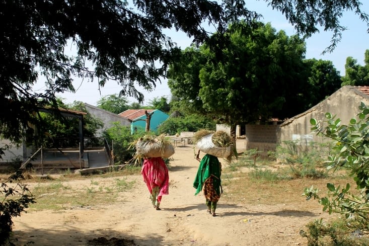 Deux villageoises du Bhuj