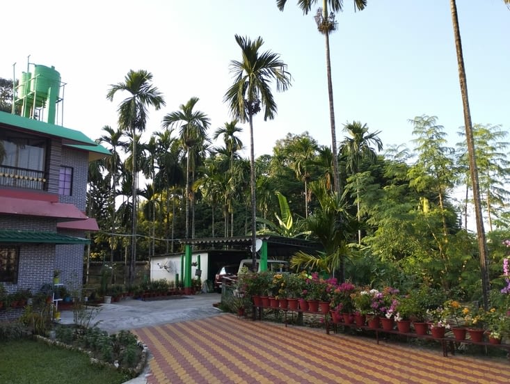 dans le jardin du Manson Homestay