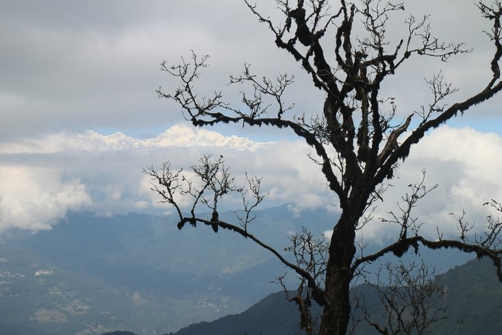 Nous pouvons admirer le Kanchenjunga en cours de route