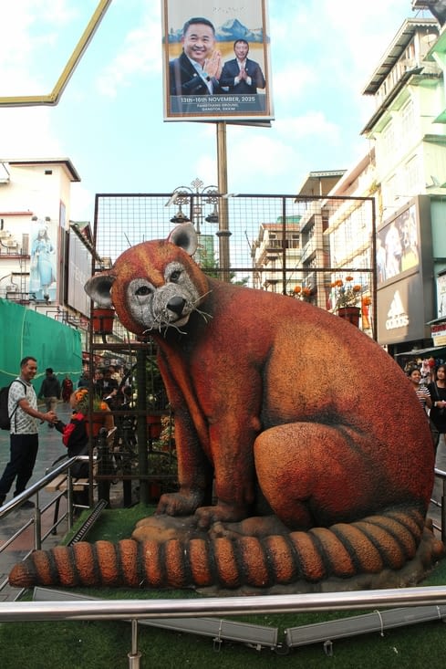 Sur Gandhi Road, un hommage au panda roux