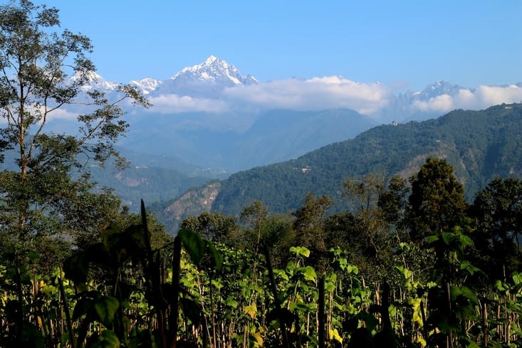 Et comme chaque jour, le Kanchenjunga nous fait la grâce d'apparaître