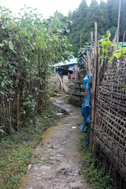 Une des ruelles du village