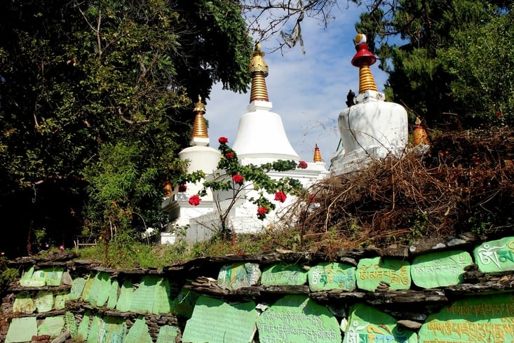 la forêt de chortens